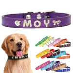 犬首輪 迷子札 名入れ刻印無料 犬用訓練首輪 小型・中型・大型犬対応 サイズ調節可能 革 レザー彫刻 超軽量 通気パッド おしゃれ かわいい ペット用品 ハーネス