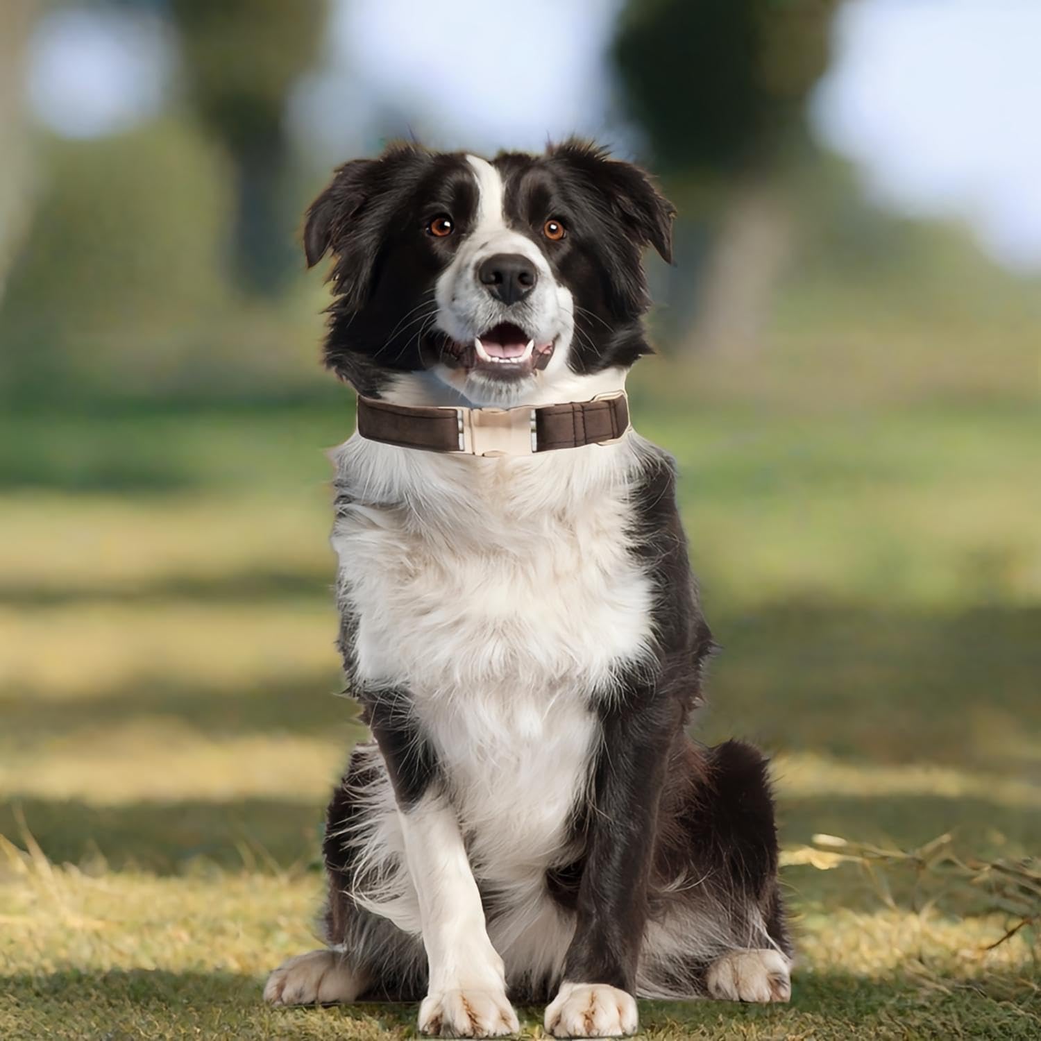 犬の首輪 迷子札付き 犬首輪 お洒落 名前入れ 彫刻 可能 犬用トレーニング首輪 小型犬・中型犬・大型犬用 首輪 サイズ調節可能 ペット用品 リード付き 犬の首輪 フワフワ素材 超軽量 通気クッション かわいい