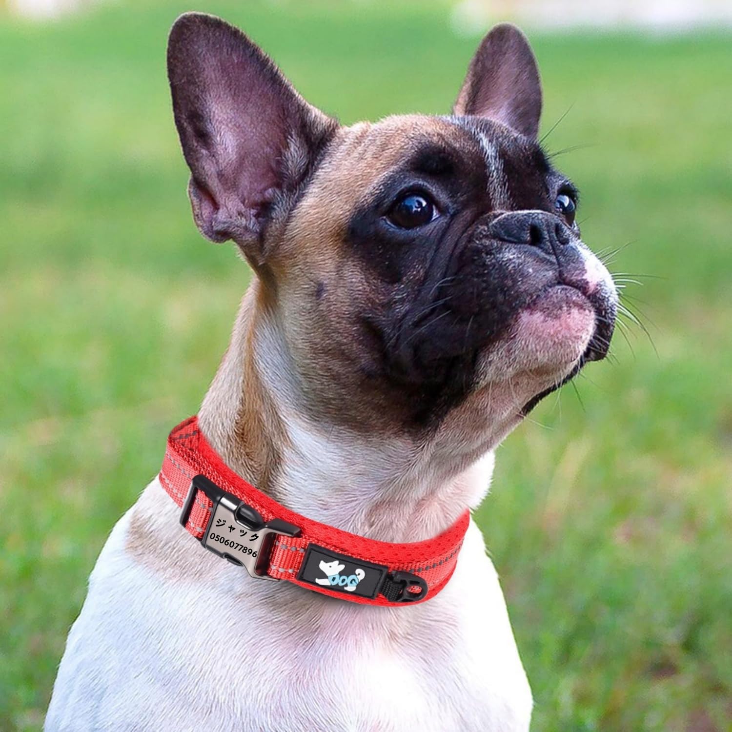 ペット用首輪 犬 猫 名前入れ刻印可能 犬の 小型、中型、大型犬ペット用品 3M反射材料 首負担軽減 通気 軽量 ソフト 調節可能 (橙色, XXS首輪サイズ(26-35CM))