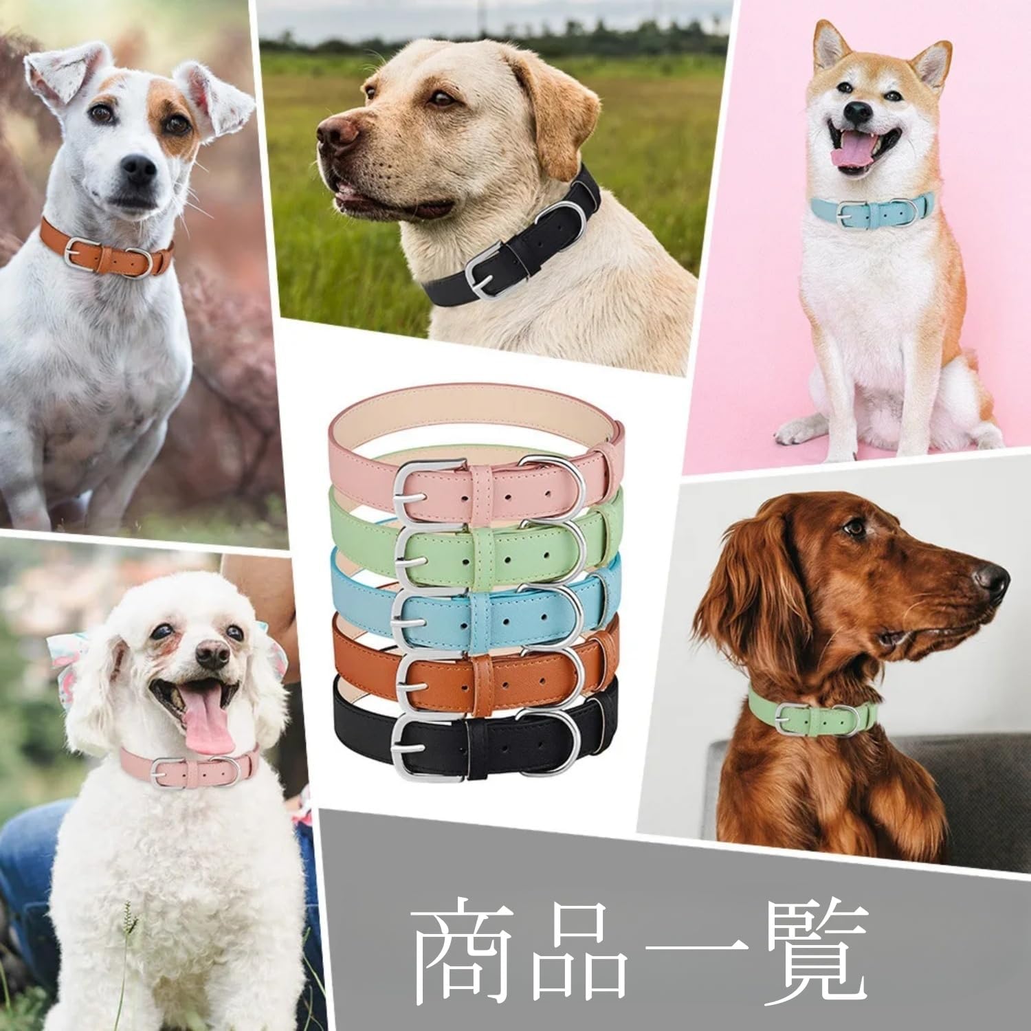 犬 首輪 名入れ イニシャル 犬首輪 革製 名前入れ おしゃれ かわいい カスタム 迷子札 小型犬 中型犬 大型犬 いぬ 柔らかい 迷子防止