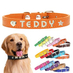 犬首輪 迷子札 名入れ刻印無料 犬用訓練首輪 小型・中型・大型犬対応 サイズ調節可能 革 レザー彫刻 超軽量 通気パッド おしゃれ かわいい ペット用品 ハーネス