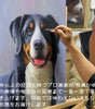 ペット肖像画 手描き油絵 10年経験プロ画家制作 犬 猫 ペット メモリアル アート 結婚祝い 誕生日プレゼント