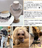 ペット首輪 名入れ 犬 猫 パーソナライズ ネックレス アクリル ビーズ 金属バックル付き 小型犬 中型犬 大型犬 猫用 調整可能 快適 軽量 おしゃれ 可愛い ギフト プレゼント 誕生日 バレンタイン 黒 白