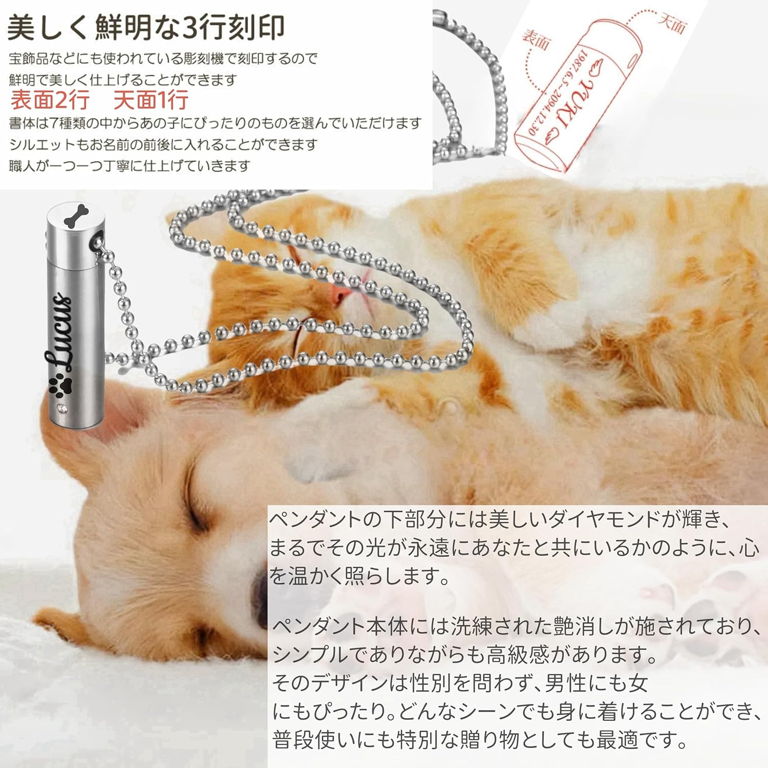 [norinori] 遺骨カプセル 写真刻印 遺骨ペンダント 両面 刻印 名前 名入れ 手元供養 6点セット Oリング付 アジャスター付 遺骨 ネックレス 遺骨 アクセサリー 分骨 骨壺 メモリアルジュエリーステンレス (カスタマイズ, シルバー)