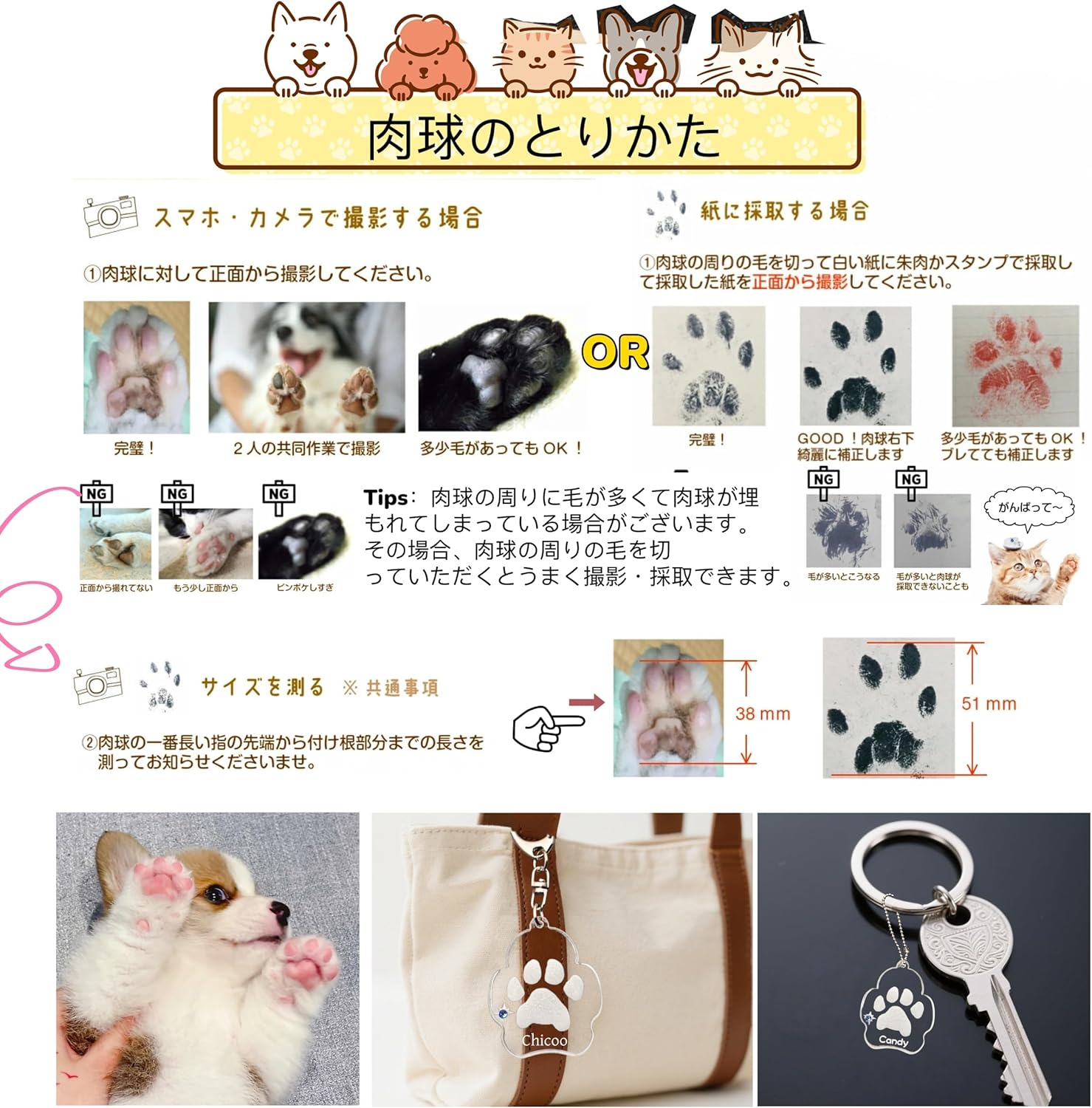 爪形キーホルダー ペット メモリアル 肉球プリント 名前刻印 誕生石付き 記念品 手元供養 アクリルプレート 犬 猫 の思い出 供養 ずっと一緒 プレゼント ギフト ラッピング無料 いぬ かわいい おしゃれ