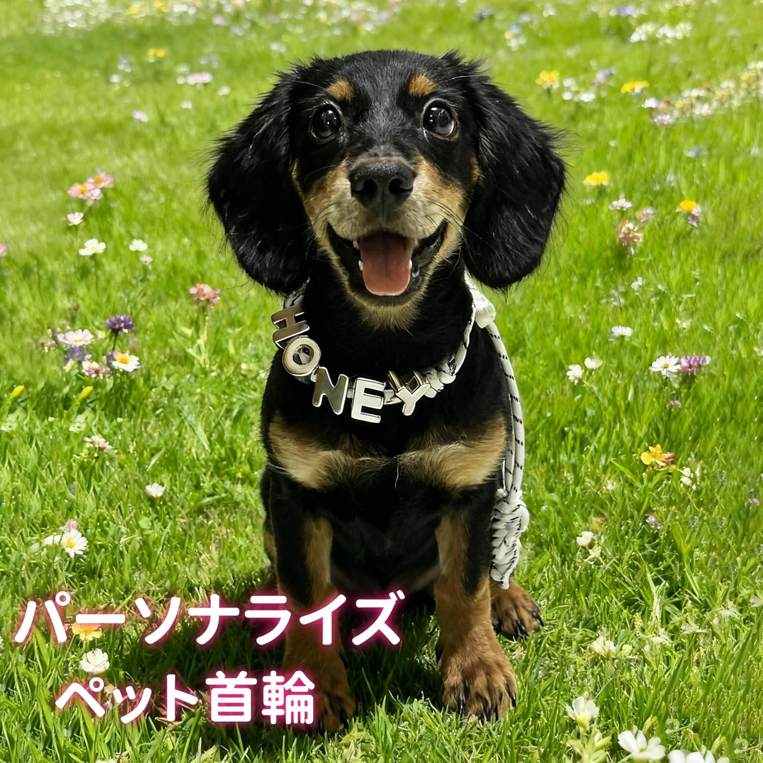 ペット首輪 名入れ 犬 猫 パーソナライズ ネックレス アクリル ビーズ 金属バックル付き 小型犬 中型犬 大型犬 猫用 調整可能 快適 軽量 おしゃれ 可愛い ギフト プレゼント 誕生日 バレンタイン 黒 白