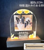 花柄 フォトプレート オーダーメイド ペットメモリアル アクリルスタンド 愛犬 愛猫 ボタニカル USB光る木製スタンド付き 写真立て 名前入れ 遺影 仏具 位牌 お悔み 贈り物 メッセージ入れ UV印刷 犬 猫 供養 記念 ギフト